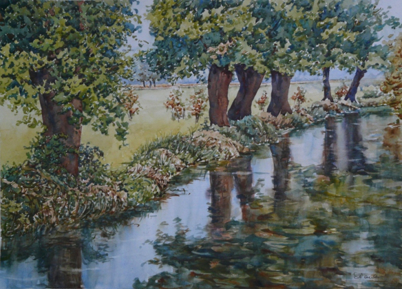 Riflessi ed alberi - cm 55 x 75