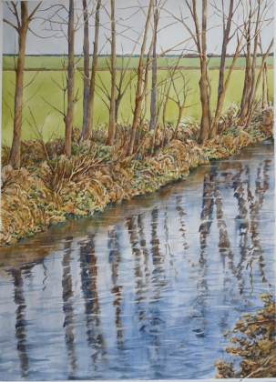 Riflessi ed alberi - cm 75 x 55