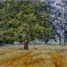 Estate - cm 38 x 103