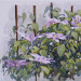 Clematidi - cm 50 x 70