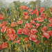 Papaveri - cm 55 x 75