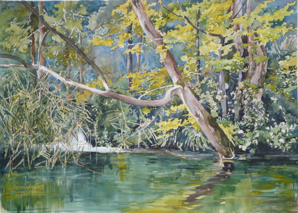 Protendersi - cm 55 x 75